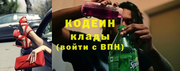 шишки Туринск