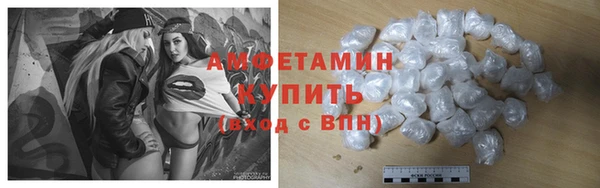 шишки Туринск