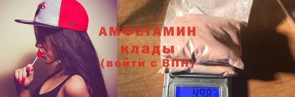 шишки Туринск