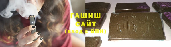 шишки Туринск