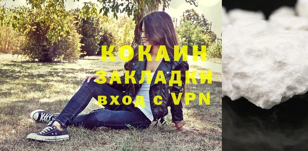 бошки Тында