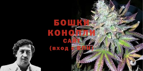 бошки Тында