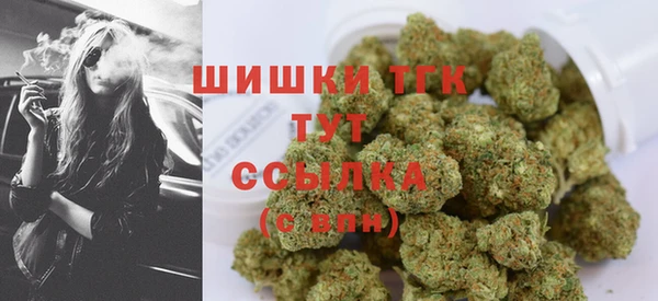 шишки Туринск