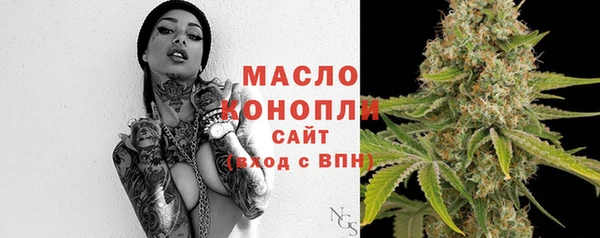 шишки Туринск