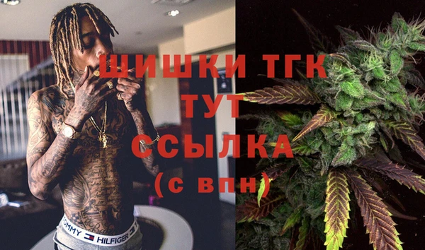 бошки Тында