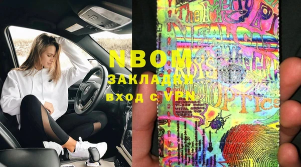 шишки Туринск