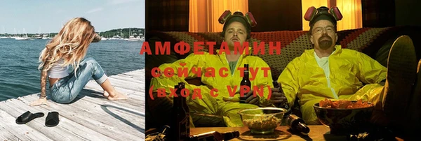 шишки Туринск