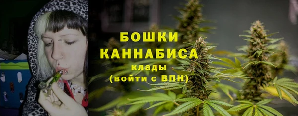 бошки Тында